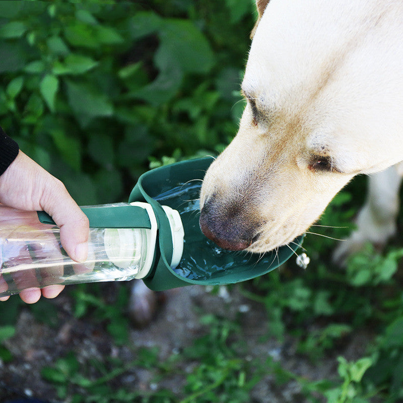 SipSync - Hunde Getränkeflasche